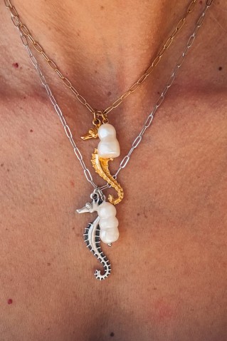 αλυσιδακια κολιε με charm ιπποκαμπο goupi handmade jewels
