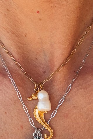 αλυσιδακια κολιε με charm ιπποκαμπο goupi handmade jewels