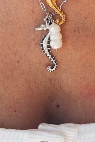 αλυσιδακια κολιε με charm ιπποκαμπο goupi handmade jewels