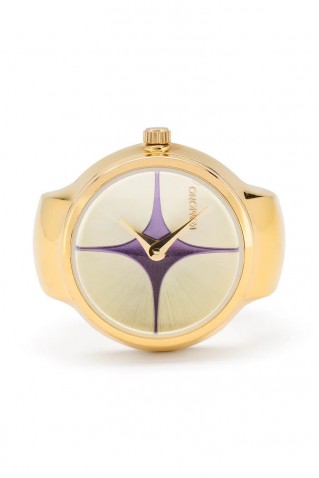 "noor" gold black ring watch komono